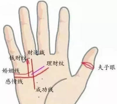 感情线和婚姻线