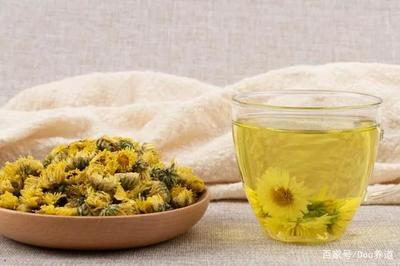 泡菊花茶