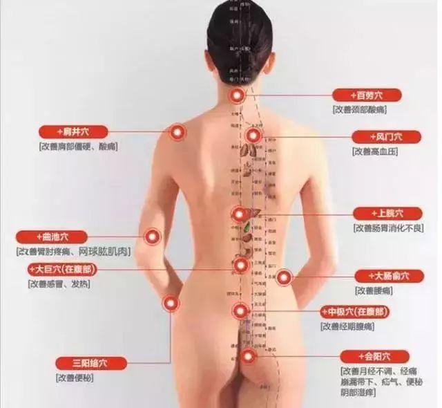 一个女人身体有多少血