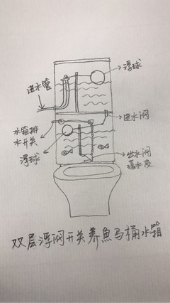 马桶冲水开关在哪里