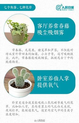 养花的学问阅读及答案