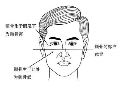 颧骨面相分析