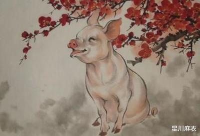属猪本周运势