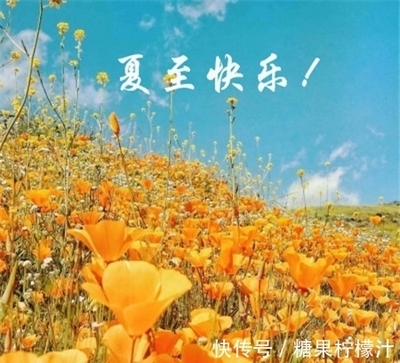 今年三伏共多少天