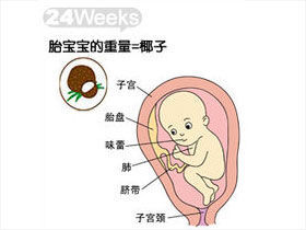 怀孕6个月胎儿图片