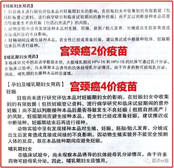 哺乳期情况说明怎么写