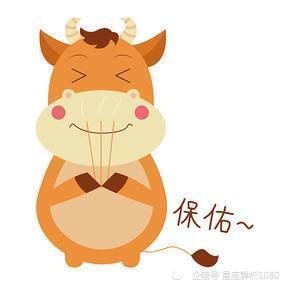 土的生肖