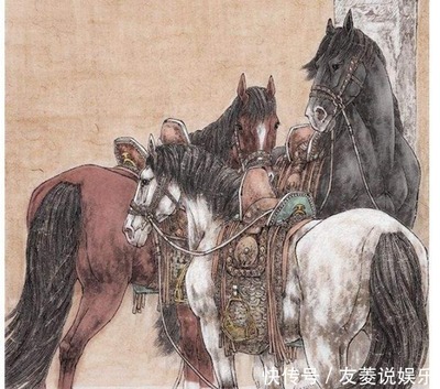 属相马和什么属相最佳