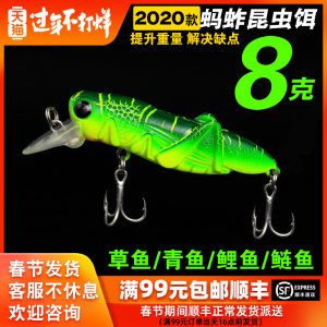 孕妇可以吃蚂蚱吗