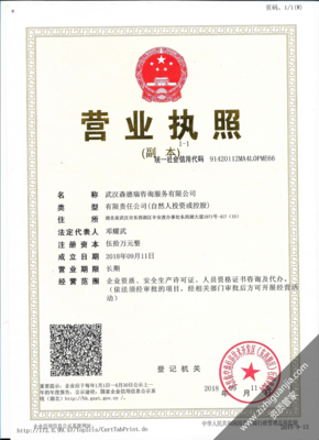 武汉代办个体营业执照