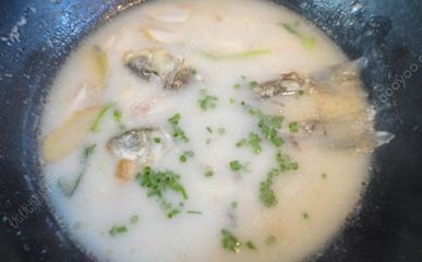 10个月宝宝鱼汤怎么做