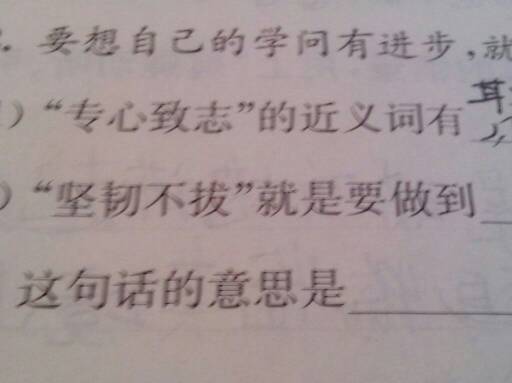 以专心致志的近义词