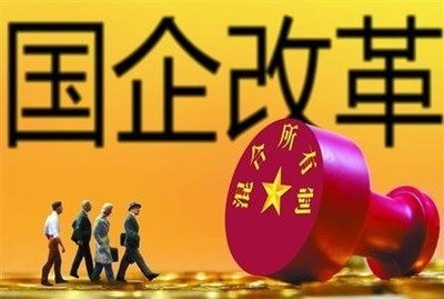 国有企业的股东