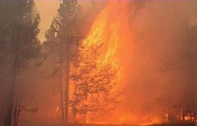 梦见自己手机着火了
