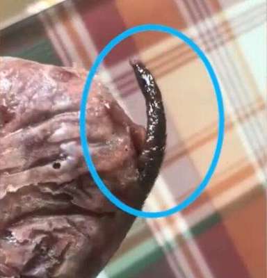 老是感觉恶心是怎么回事