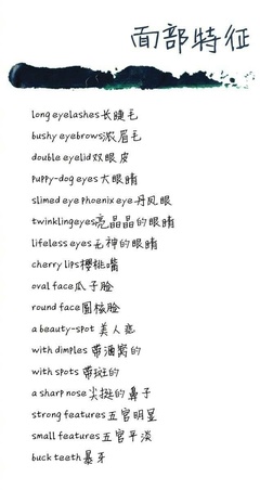 眉毛英语单词怎么读