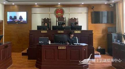 法院立案后多久开庭