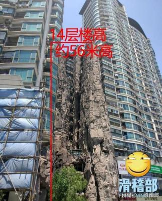 上海长寿路假山