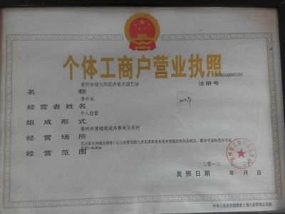 一个人可以注册几个营业执照