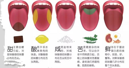 舌头发咸是怎么回事