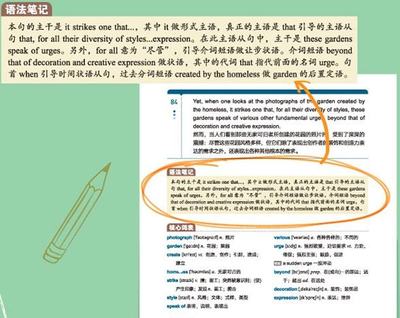 代词英语单词大全100个