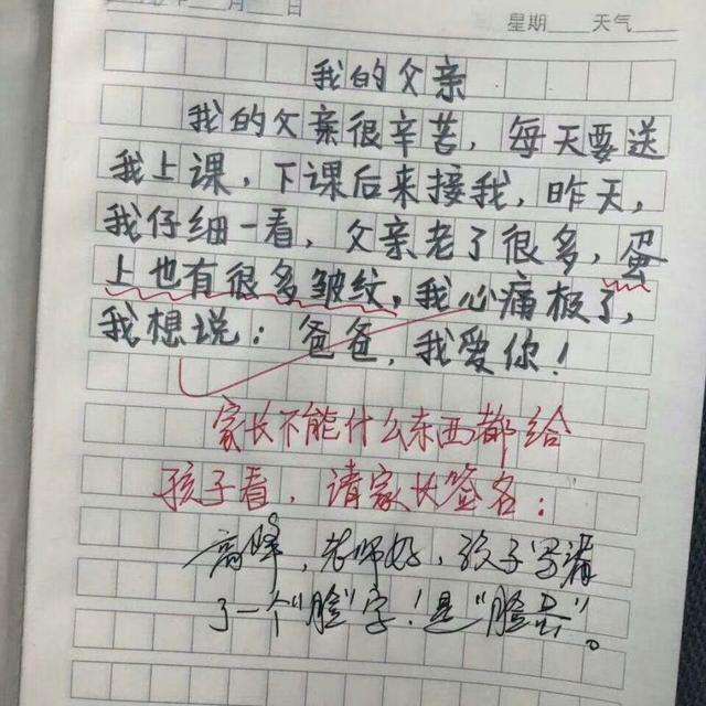 我的父亲小学二生作文怎么写