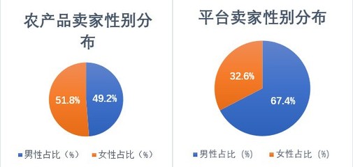 网上创业报告怎么写