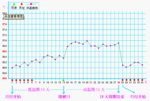 排卵期受孕几率