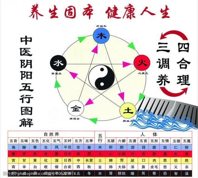 五行属木代表健康的字