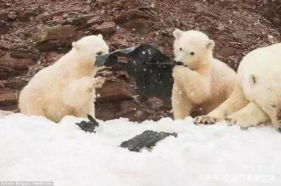 黑塑料袋的危害