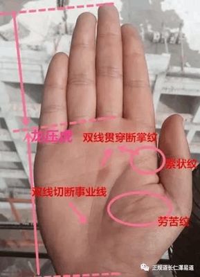 男人手指粗短是什么命