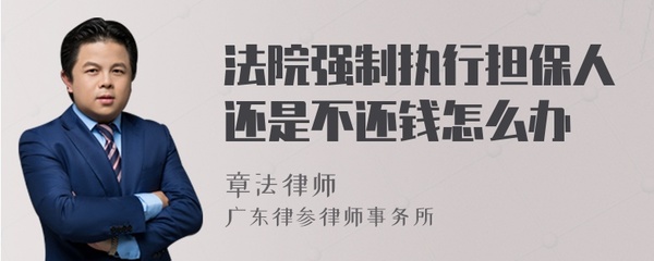 强制执行担保人怎么办