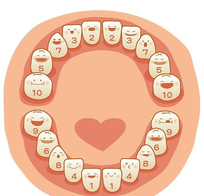 宝宝牙齿图片