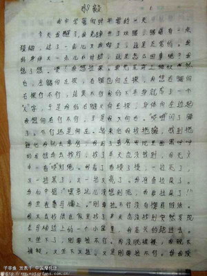 介绍鱼四百字作文怎么写