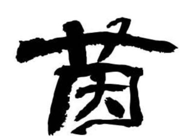 茵的寓意