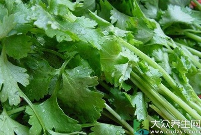 坐月子能吃香菜