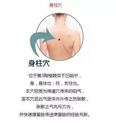 扶阳的作用和功效