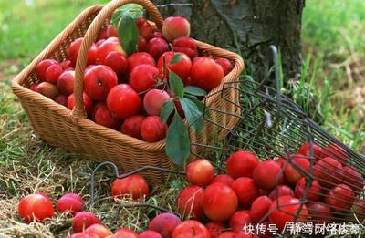孕妇梦到李子