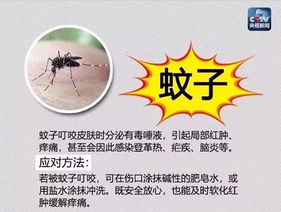 疟疾点疼是怎么回事