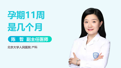 十一周是几个月