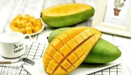 怀孕期间能不能吃芒果