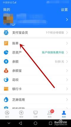 支付宝怎么查卡里的余额