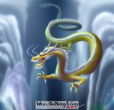 孕妇梦见一条龙