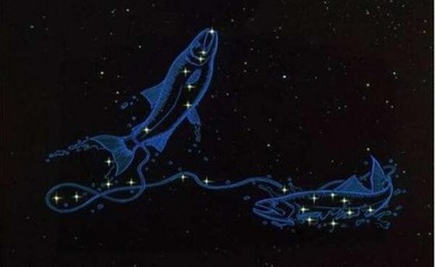 和双鱼最配的星座