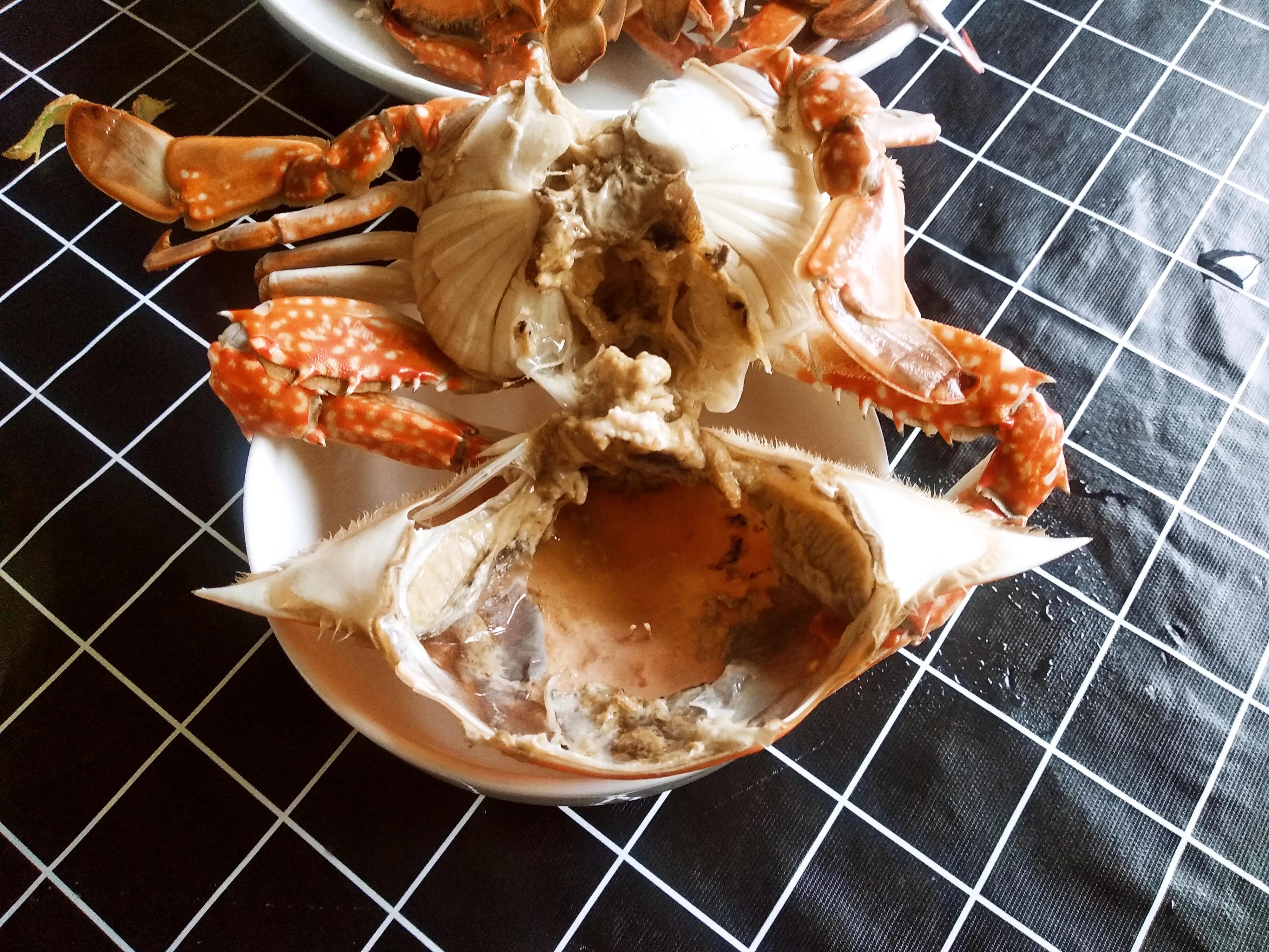 梭子蟹死了多久不能吃