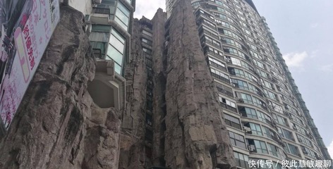 上海长寿路假山