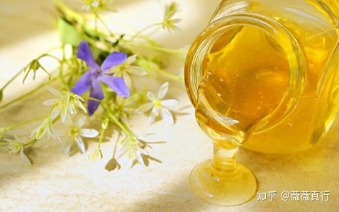 吃什么去黄美白