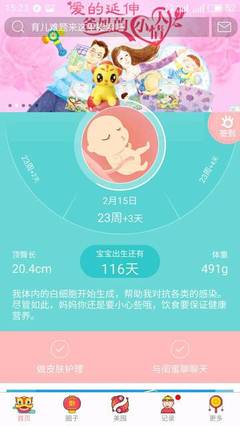 怀孕六个月孩子多大