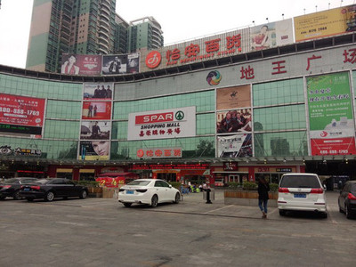 中国有好几个王迪大厦
