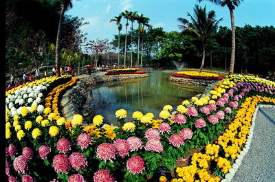 台北花园